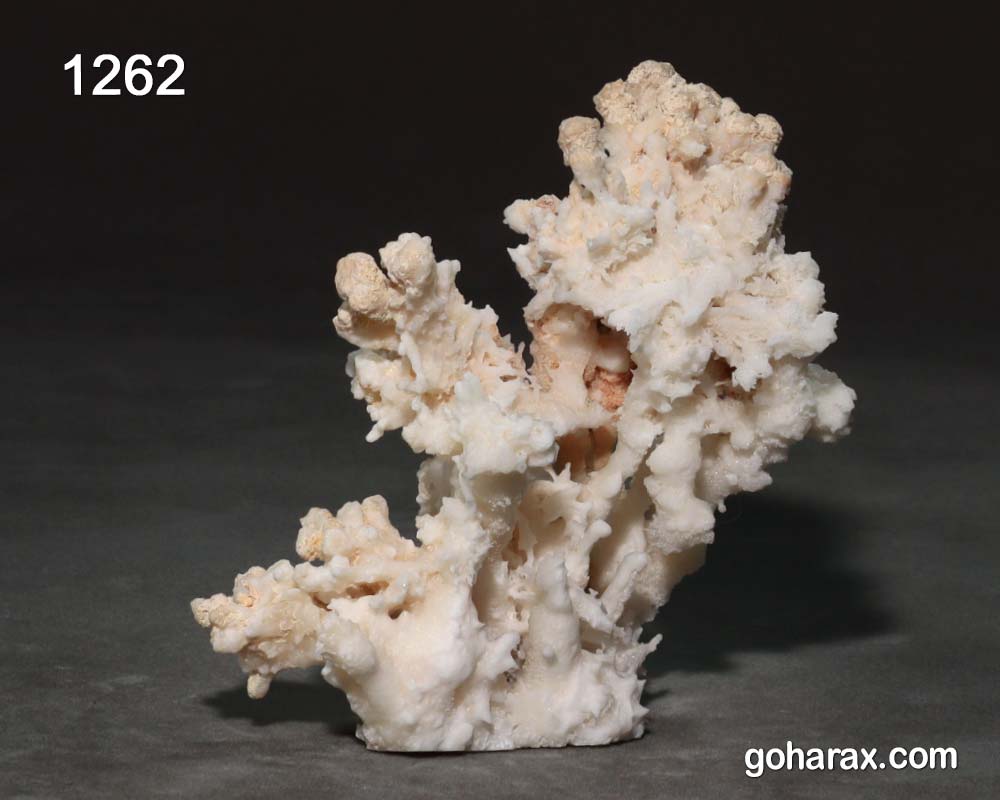 1262b سنگ زینتی آراگونیت مرجانی