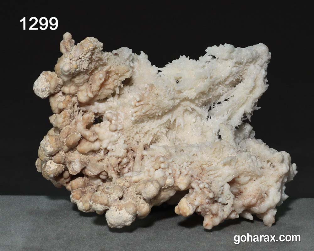 1299a سنگ زینتی آراگونیت مرجانی