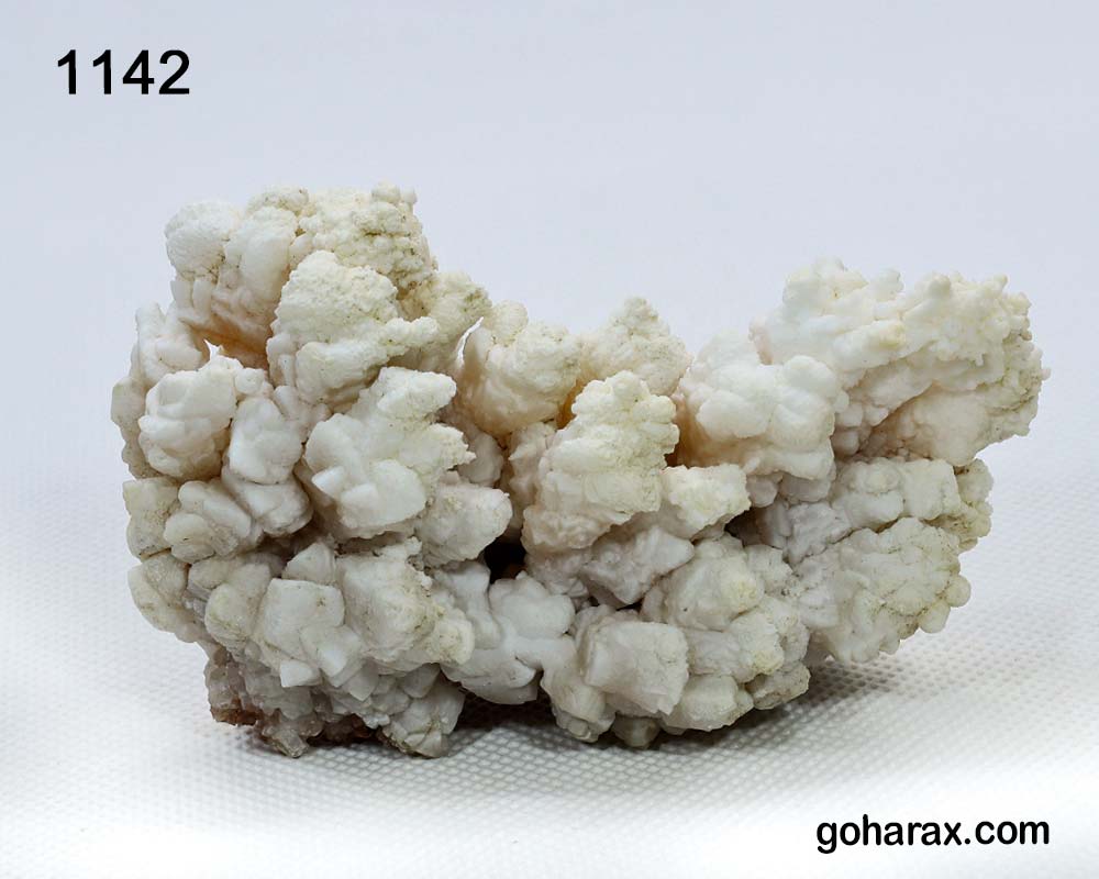 سنگ زینتی آراگونیت مرجانی