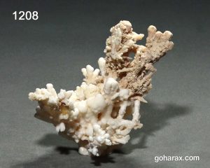 سنگ زینتی آراگونیت مرجانی