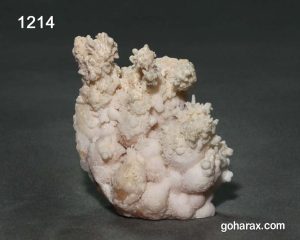 سنگ زینتی آراگونیت مرجانی