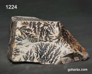 سنگ فسیل شجر دندریت