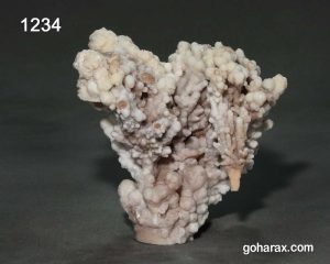 سنگ زینتی آراگونیت مرجانی