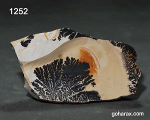 سنگ فسیل شجر دندریت