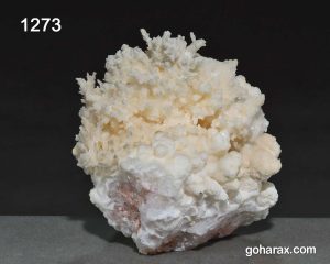سنگ زینتی آراگونیت مرجانی
