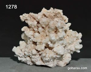 سنگ زینتی آراگونیت مرجانی