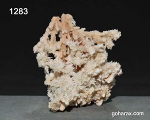 سنگ زینتی آراگونیت مرجانی